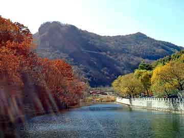 新澳天天开奖资料大全旅游团，石狮seo排名